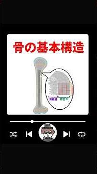 骨の基本構造 #ゴロー #骨#骨髄