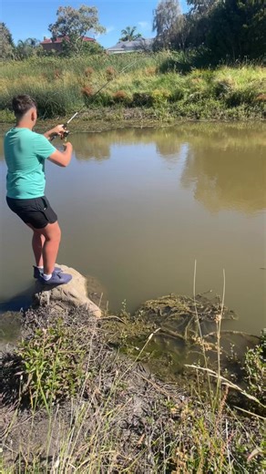 Fishing with 45cm Reddie Rod Techniques
