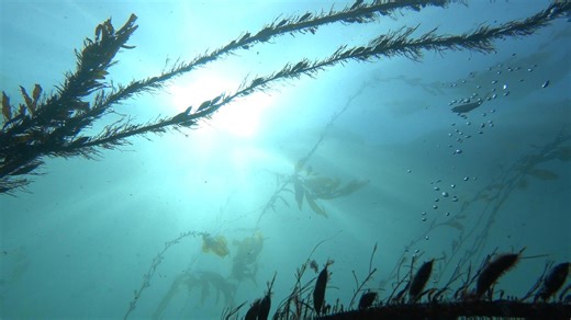 Climate change is fueling a desalination boom. Can new technology make it sustainable?