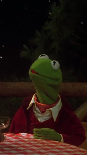 Vintage Movie Stuff on Instagram: "#SteveMartin in #themuppetmovie (1979) #comedy #themuppets #Kermit #misspiggy #1979movies"