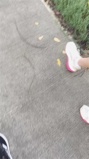 Day 10: 7km Walking Challenge