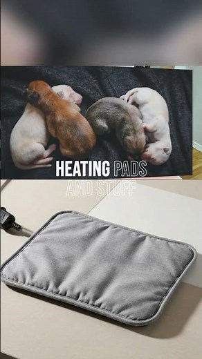 Heat Lamp vs. Heat Pad: Keeping Newborn Puppies Warm the Right Way