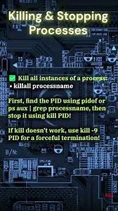 How To Process Management in Linux #coding #cybersecurity #linux #tech #code #hacker