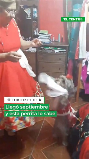 🐾🇨🇱 Con pañuelo al cuello, vestido de chinita y mucho ritmo