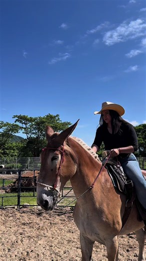 Dos vaqueras, un solo destino: ¡la Cabalgata del Java! 🤠🐎 Nos vemos este 9 de agosto desde nuestras instalaciones. ¿Ya alistaste tus botas? #fyp #veterinaria #job #ganaderos #vaqueros #cabalgata #veracruz