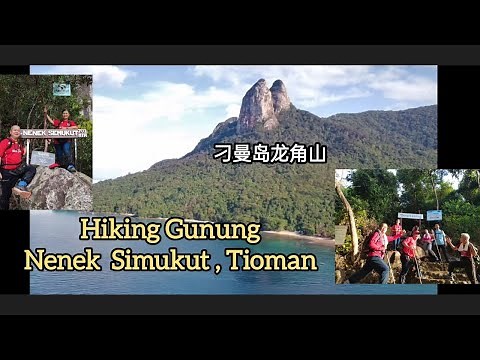 7 sekawan hiking Gunung Nenek Simukut , Tioman. （703M）七友勇登刁曼龙角山. Bagai sampai alam Fantasi.