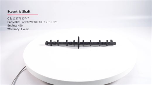 𝐅𝐑𝐄𝐘 𝐀𝐔𝐓𝐎 𝐏𝐀𝐑𝐓𝐒 👉 11377630747 Eccentric Shaft For BMW F18 F10 F15 F16 F25 Engine N20 For more, please come to our website www.freyparts.com WhatsApp 86 15011976721 #frey #autoparts #freyautoparts #freyparts #BMW | FREY Auto Parts