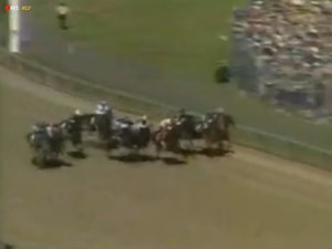 Spectacular Bid dazzled the nation in the 1979 Kentucky Derby, surging to victory with raw power and brilliance that marked him as a champion for the ages. | Natural life Viewer