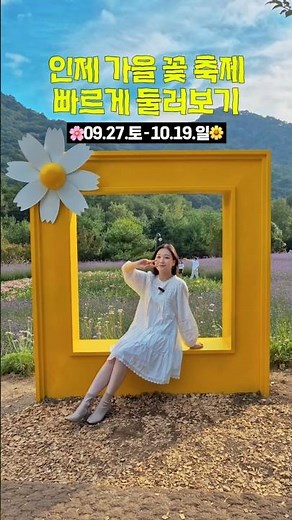 🌻인제에서 꽃길만 걷자~💖 인제 가을꽃축제 둘러보기!!!!~💏