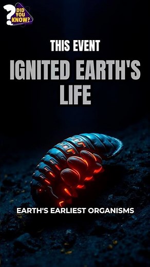 The Cambrian Explosion Mystery That Changed Earth