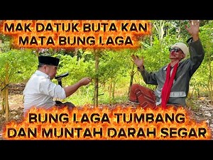 BANG REY TERBARU PERTARUNGAN HIDUP MATI MAK DATUK LAWAN BUNG LAGA#bangreylampung