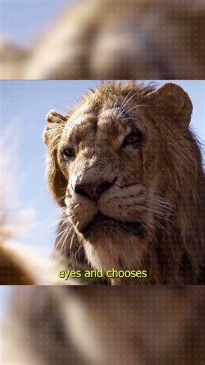 How Did Mufasa Die? 🤧