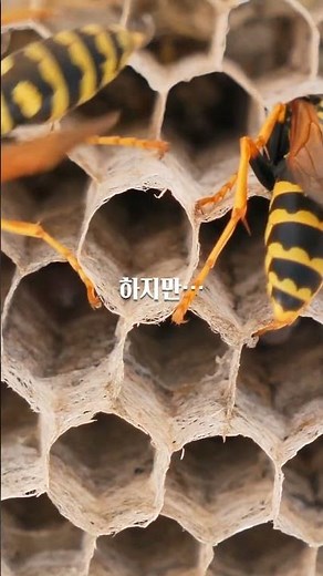 유튜브 프리미엄 가격 월 8,500원 출시?