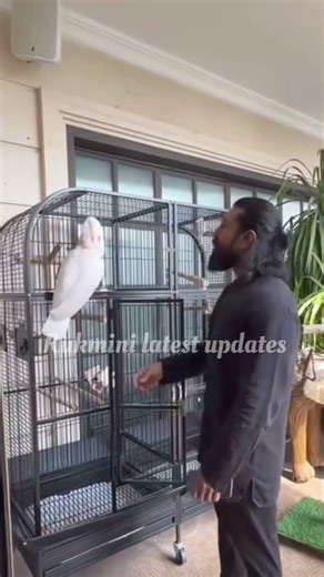 Ram Charan playing with his pet's #ramcharan #upasanakonidela #trending #globalstar