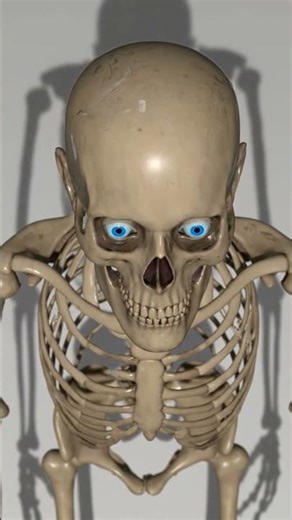 Hat happens if you locked in a white room…