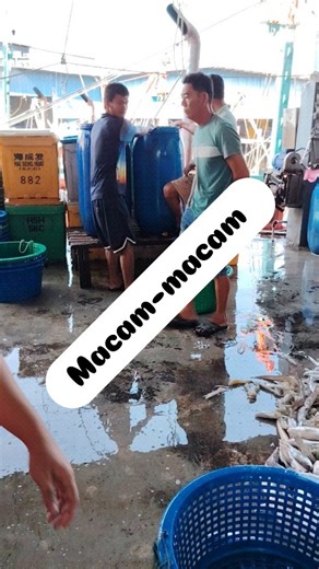 Korang tinggal pilih je ape yang korang nak... Nanti kami adjust kan ehh.. Jom masuk TT kami untuk lock Seafood segar.‼️ ⛴️ Jeti Buka : Isnin - Ahad (9:30 pagi - 5:30 petang) Grup notis bot balik & update hasil laut yang ada 📲👇🏻 Telegram: https://t.me/ nNXhCmunzZU2ODQ1 📍Jeti: Hai Seng Huat Fishery Sdn Bhd No . 237, Lorong 6, Tepi Laut Bagan Sekinchan, 45400 Sekinchan Selangor 🚗Waze: https://waze.com/ul/hw0xguqp9n 🚗Google Maps: https://maps.app.goo.gl/g1GJUfuqSYDDpZbSA Jom join group kami u