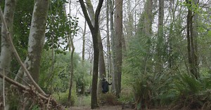 Unsettled Territory: Bainbridge Gardens