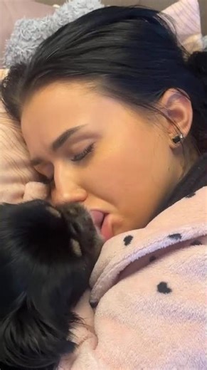 Dog Showers Sleeping Beauty With Endless Kisses || ViralHog