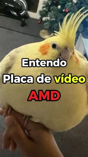Understanding AMD Graphics Cards
