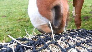 23K views · 68 reactions | Our fabulous bale nets have saved customers a few quid this winter! Less waste, more grazing. Happy horses :) | Trickle Net | Facebook