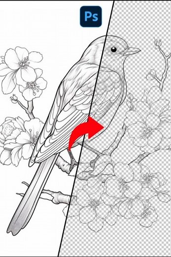 How to Remove Complex Background in Photoshop | Easy Method Explained #shorts #RajnikGraphicLab