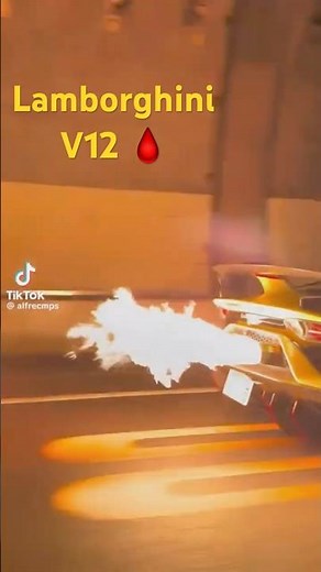 Lamborghini Aventador Tunnel Flames 🔥🔥 Raw V12 Sound
