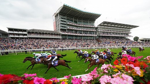 Timeform course guide and key stats for York