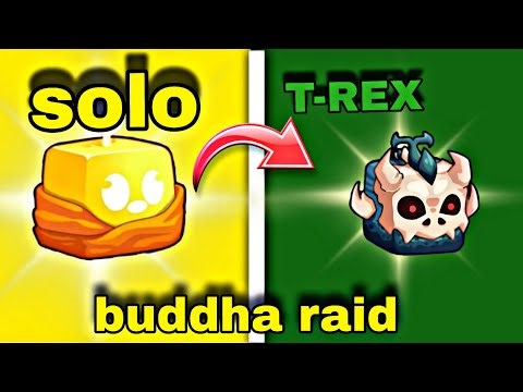 Solo buddha raid with T-REX IN BLOX FRUIT