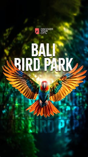 214 reactions · 15 shares |  Did you know that in Bali Bird Park you can interact with macaws, hornbills, and even feed pelicans? ‍‍ Family adventures, education, and unforgettable memories await you!  Located in the heart of Bali’s tropical paradise Hurry up! And get your tickets now... [travel, indonesia discoveryourcity, tourist, adventrue, park] #bali #indonesia #adventure #travel #tourist #memories #tropical #book #discoveryourcity | Discover Your City | Facebook