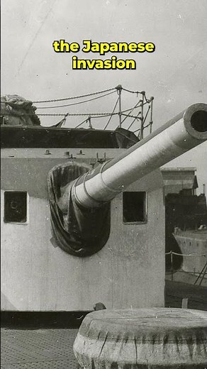 The Cruiser That Fought the Inevitable, HNLMS Java | #history #shorts #story #fyp