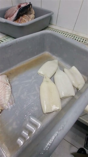 change door gasket freezer room