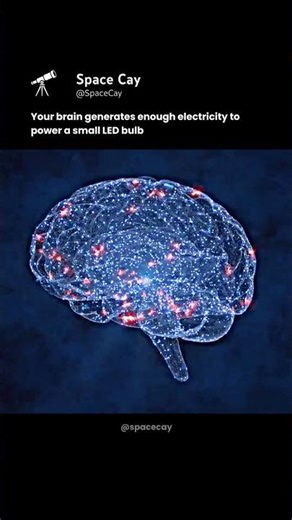 Your Brain Can Power a Light Bulb? 💡🧠