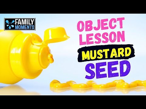 MUSTARD SEED OBJECT LESSON - PLUS, ENTER OUR SUMMER CONTEST!