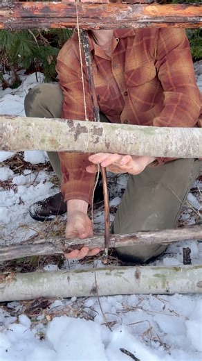 Protecting my chickens from a skunk with a deadfall trap | Seth Larsen