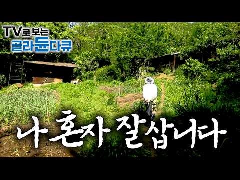 ⛰️전기도 가스도 없는 곳에서 나홀로. 인간관계 은퇴하고 산속에서 혼자 밥 해 먹는 삶⛰️1시간 몰아보기｜한국기행｜#tv로보는골라듄다큐