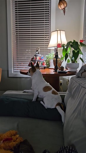 Waiting for daddy | Kyle Christensen