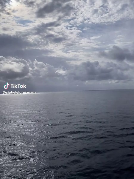 Tito Ortiz: A Precious Gem in the MMA World