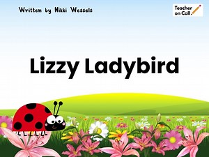 Lizzy Ladybird reading comprehension