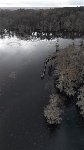 This fall weather has us day dreaming of being at Chicot State Park... 💭 📍 Ville Platte, LA | Louisiana State Parks