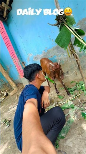 Daily Blog 🤣 part-68🤡 #dailyvlog #funny #boltumamaofficial #blog #fun