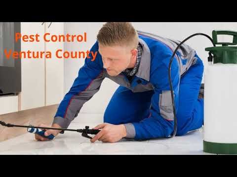 Ecola Termite - Reliable Pest Control in Ventura County, CA
