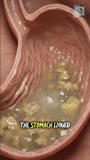 Extra Salt in Food: What Happens in Your Body🧂 #digestivehealth #youtubeshorts