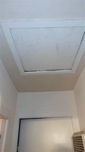 1K views | There’s a dead animal in my attic. help | Tanner Amigleo | Facebook