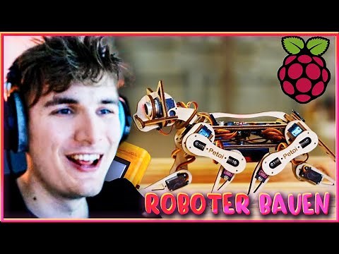 Eigenen Raspberry Pi ROBOTER bauen