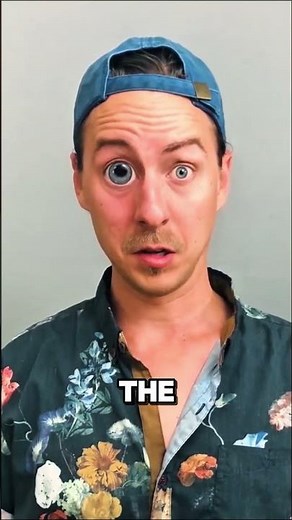 What Really Happens When Bees Sting