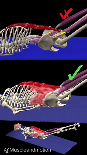 Correct Technique for Supine Leg Raise Exercise