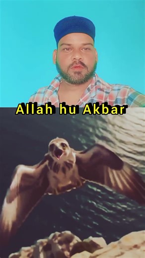 #original