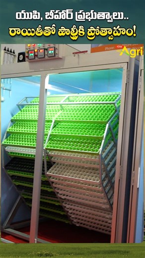 The Differences Between Broilers and Layers and in thier Management Explained by Ram Prasad, Marketing Consultant. The 17th Edition of Poultry India Expo 2025! This year’s expo brings together industry leaders, professionals, and innovators in the poultry sector to showcase the latest advancements in poultry farming, technology, and equipment. Watch the highlights from this massive event, featuring exciting exhibitions, live demonstrations, and insightful discussions on trends shaping the future