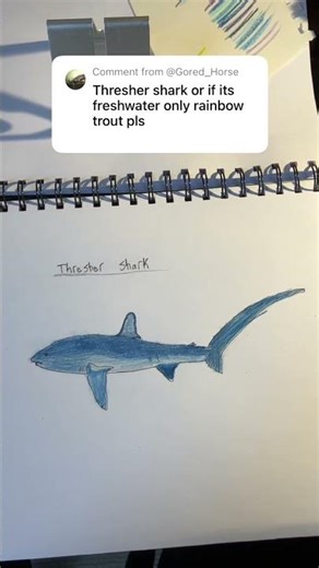 Part 15 drawing every fish people comment thresher shark #fishdrawing #fishinglife #fishing