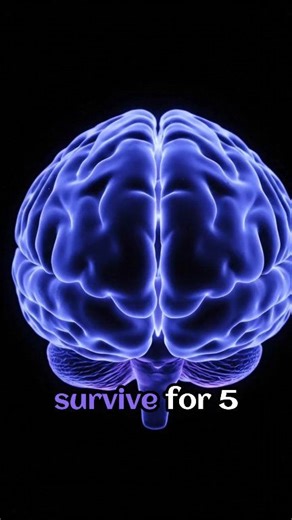 4 Scary Human Body Facts You Didn’t Know Your body is way stranger than you think… and these facts prove it. 易⚡ Here are 4 terrifying—but 100% real—facts about the human body. Follow @FactNova for more shocking science facts! #facts #sciencefacts #humanbody #didyouknow #viralreels #factnova | Ghost Battles | Facebook